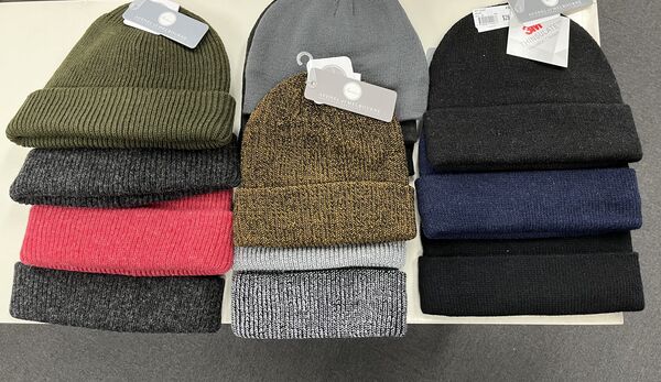 Avenel Beanies - Panthers Menswear